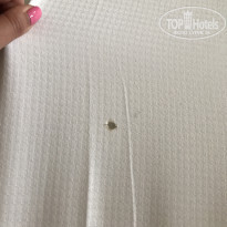 фото из отзыва ID 1615561