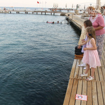 фото из отзыва ID 1615695