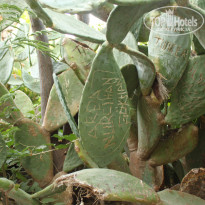 фото из отзыва ID 1615695