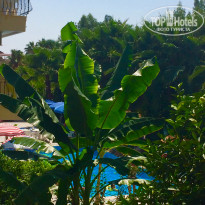 фото из отзыва ID 1615744