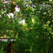 фото из отзыва ID 1615744