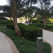 фото из отзыва ID 1615814