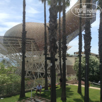 фото из отзыва ID 1615939