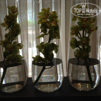 фото из отзыва ID 1615939