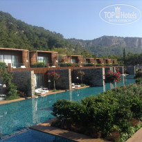 фото из отзыва ID 1615963