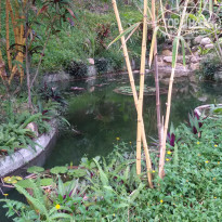 фото из отзыва ID 1616017