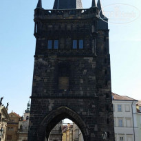 фото из отзыва ID 1616112