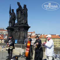 фото из отзыва ID 1616112