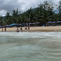 фото из отзыва ID 1616238