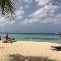 фото из отзыва ID 1616194