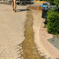 фото из отзыва ID 1616315