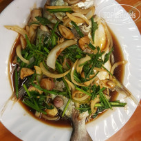 фото из отзыва ID 1616343