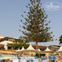 фото из отзыва ID 1612189