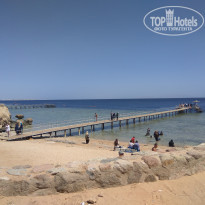 фото из отзыва ID 1616527