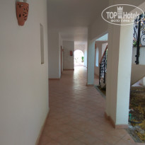 фото из отзыва ID 1616527