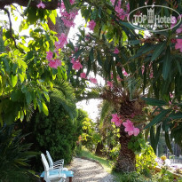 фото из отзыва ID 1616554