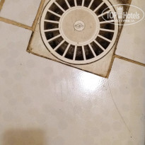 фото из отзыва ID 1616635