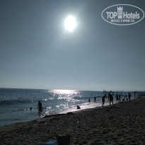 фото из отзыва ID 1616668