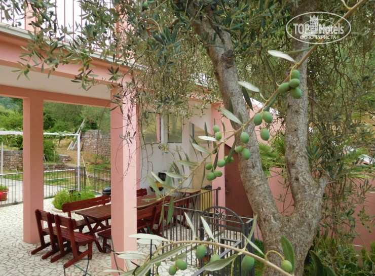 New photos from tourists Villa Luka