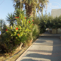 фото из отзыва ID 1617115