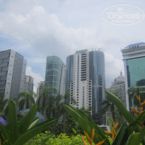 фото из отзыва ID 1617223