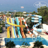 фото из отзыва ID 1617256