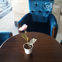 фото из отзыва ID 1617278