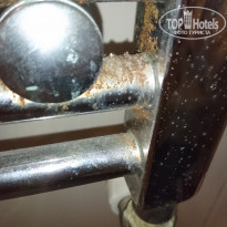 фото из отзыва ID 1617284