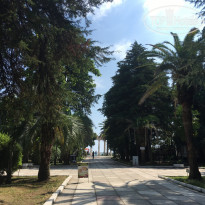 фото из отзыва ID 1616220