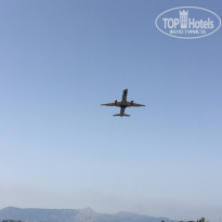 фото из отзыва ID 1617372