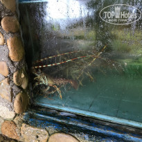 фото из отзыва ID 1617372