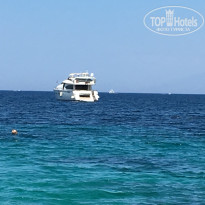 фото из отзыва ID 1617372