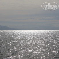 фото из отзыва ID 1617372