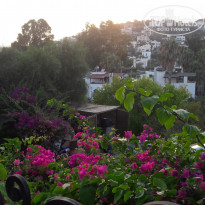 фото из отзыва ID 1617354