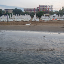 фото из отзыва ID 1617511