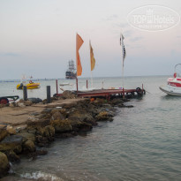 фото из отзыва ID 1617511