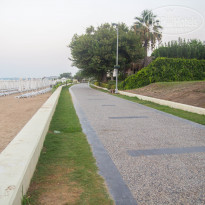 фото из отзыва ID 1617511