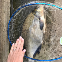 фото из отзыва ID 1617600