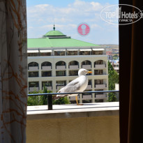 фото из отзыва ID 1617846