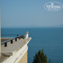 фото из отзыва ID 1617846