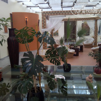 фото из отзыва ID 1617846