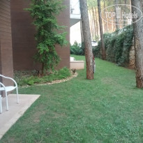 фото из отзыва ID 1617943