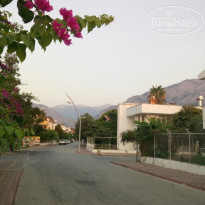 фото из отзыва ID 1618076