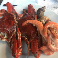 фото из отзыва ID 1618165