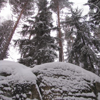 фото из отзыва ID 1618248