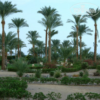 фото из отзыва ID 1618287