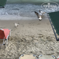 фото из отзыва ID 1618394