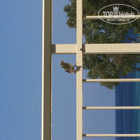 фото из отзыва ID 1617490