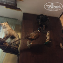 фото из отзыва ID 1618536