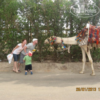 фото из отзыва ID 1618548